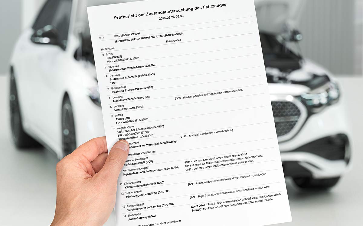 Automatische Steuergeräteabfrage und umfassender Bericht in ScanDoc